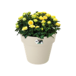 green basics top planter 23cm katoen wit